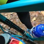 go sliding in the leaves...