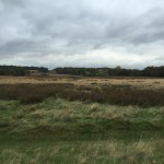 open vistas and adventure beckon